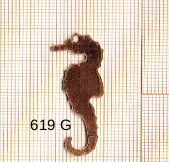 Estampe en cuivre vrac   HIPPOCAMPE 39X12MM 