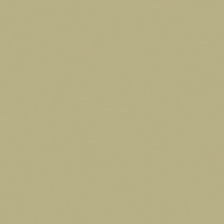 Poudre contre émail opaque, 45 g -
