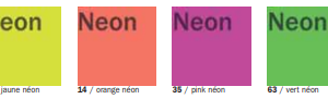 Efcolor poudre néon fluo 25 ml